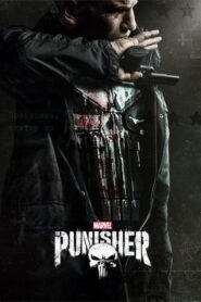The Punisher (2019) Hindi Season 2 Complete